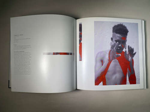 2017 Absa L`Atelier Catalogue