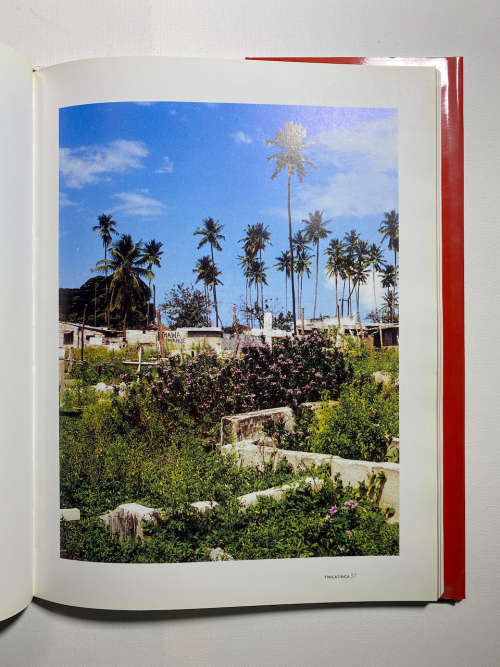 Tinga Tinga - Popular Paintings from Tanzania by Yves Goscinny