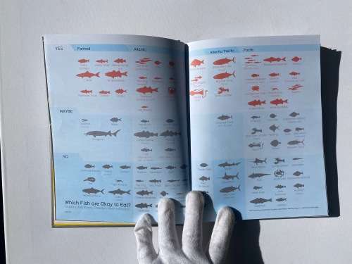 Information is Beautiful