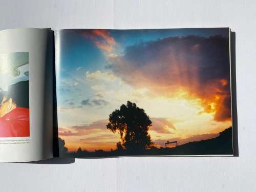 Disposables: A Photographic Experiment by Brett Morris