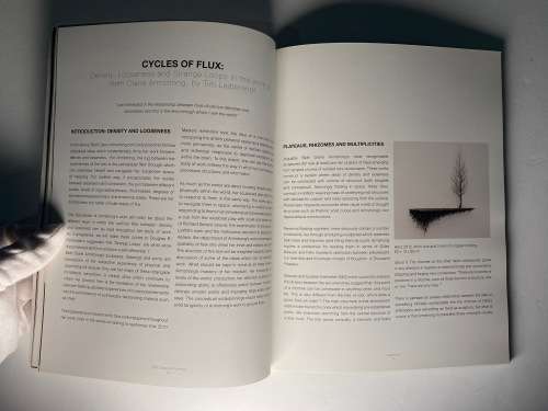 Beth Diane Armstrong: In Perpetuum