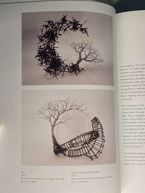 Beth Diane Armstrong: In Perpetuum