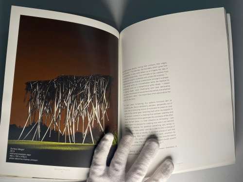 Beth Diane Armstrong: In Perpetuum