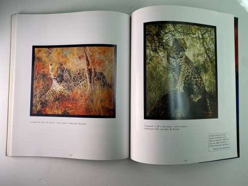 Marie Vermeulen-Breedt: A celebration of paint, light and colour (Signed)