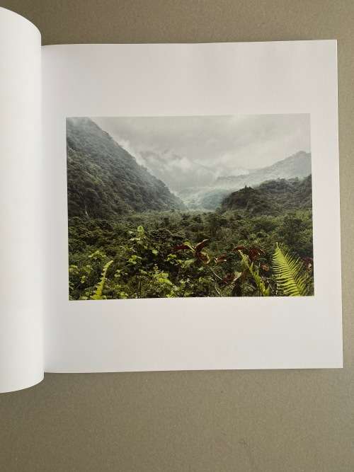 Guy Tillim:  Second Nature