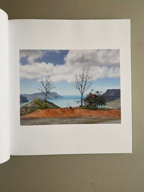 Guy Tillim:  Second Nature