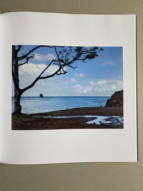 Guy Tillim:  Second Nature
