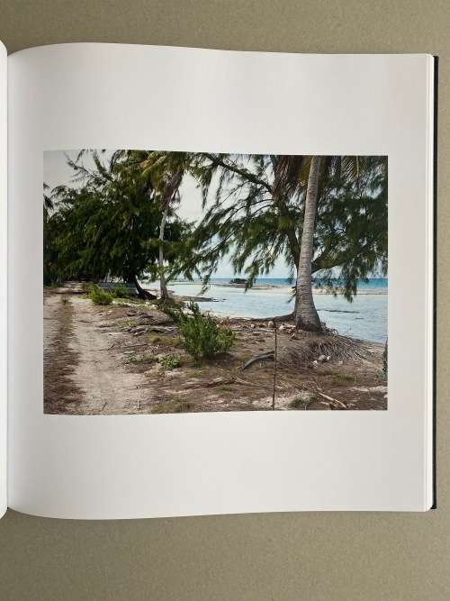 Guy Tillim:  Second Nature