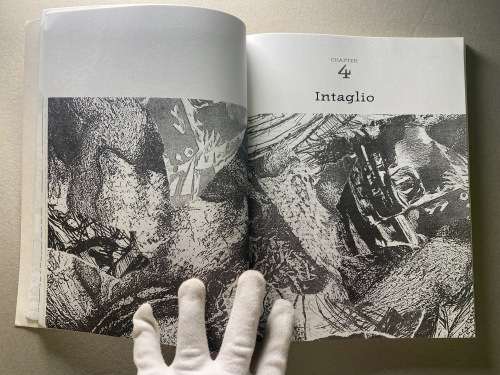 Printmaking in a Transforming South Africa by Philippa Hobbs, Elizabeth Rankin