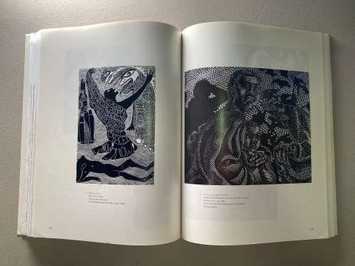 Printmaking in a Transforming South Africa by Philippa Hobbs, Elizabeth Rankin