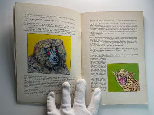 Last Letters from the Wilderness by Norman Catherine & Ramsay Mackay
