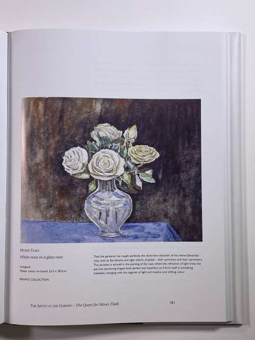 Moses Tladi: The Artist in the Garden (Collectors Edition)