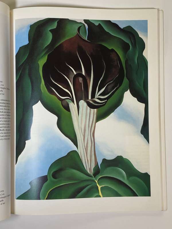 4 x Taschen Art Series books - Picasso, Delaunay, O`Keefe, Warhol