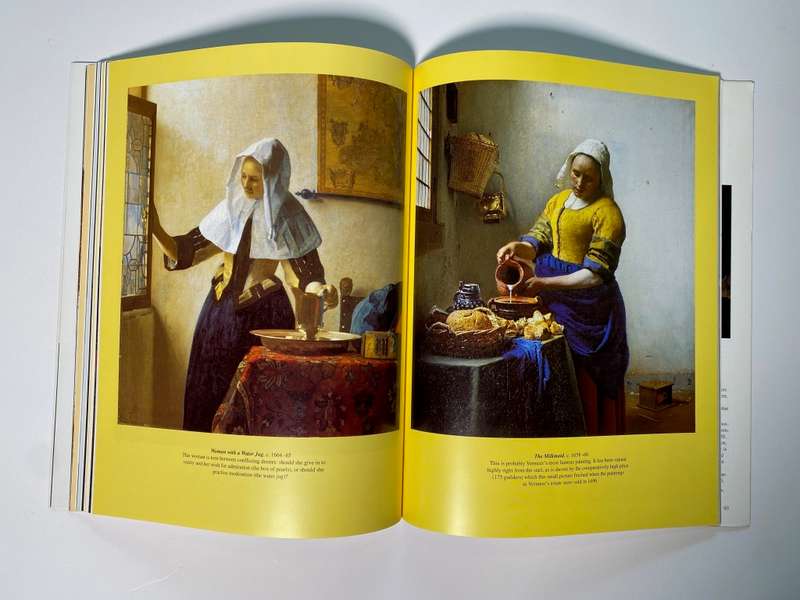 Vermeer : Veiled Emotions