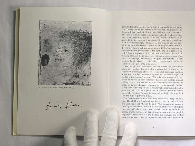 The Labyrinthine Nest  the Art of Doris Bloom
