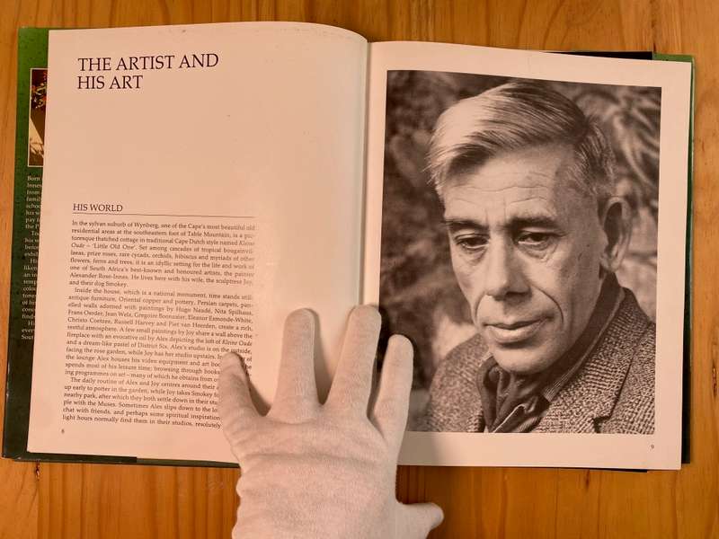 The Art of Alexander Rose-Innes