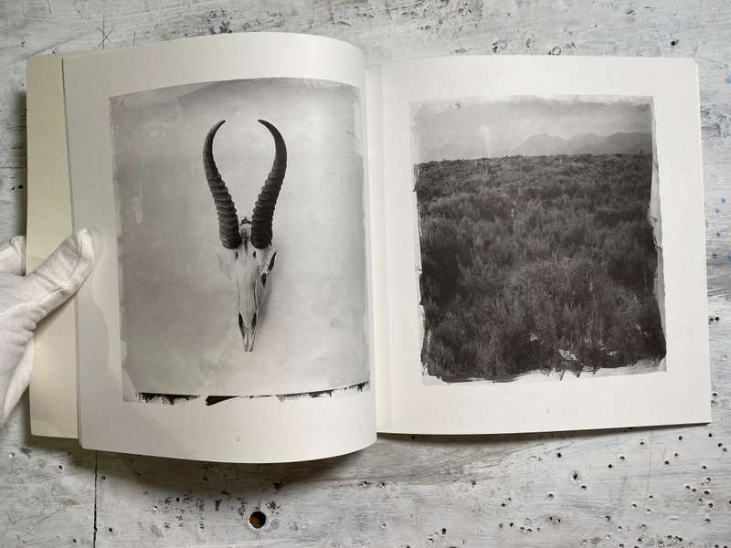 Stephen Inggs