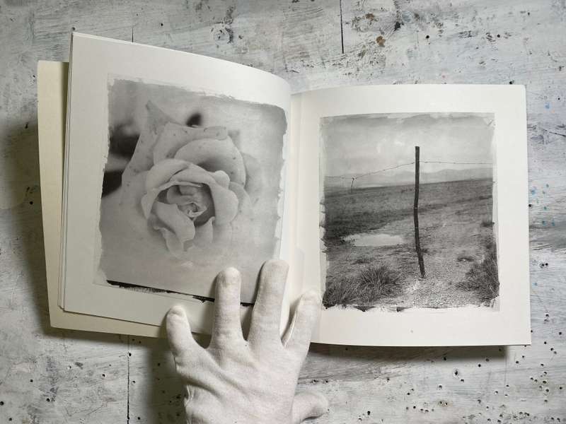 Stephen Inggs