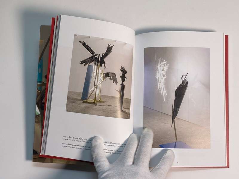 Wim Botha: Still Life with Discontent