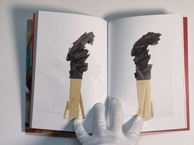 Wim Botha: Still Life with Discontent