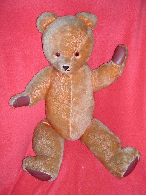 Ark Bear 1950/60âs