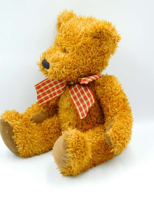 Brown Teddy Bear