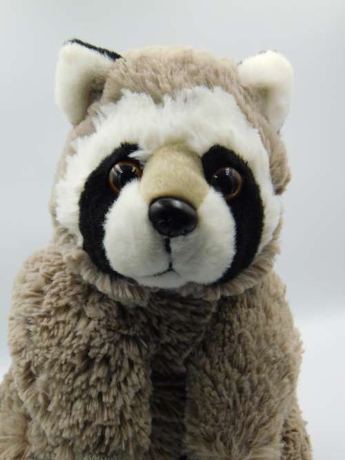 Racoon Plush Toy