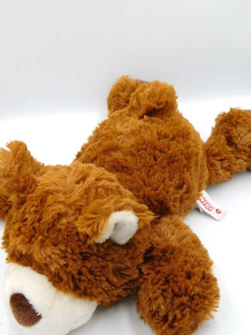 Bear - Soft Toy