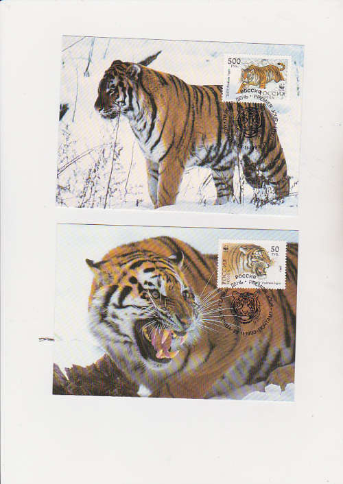 WWF 2  POST CARDS  ON THE SIBERIAN TIGER .