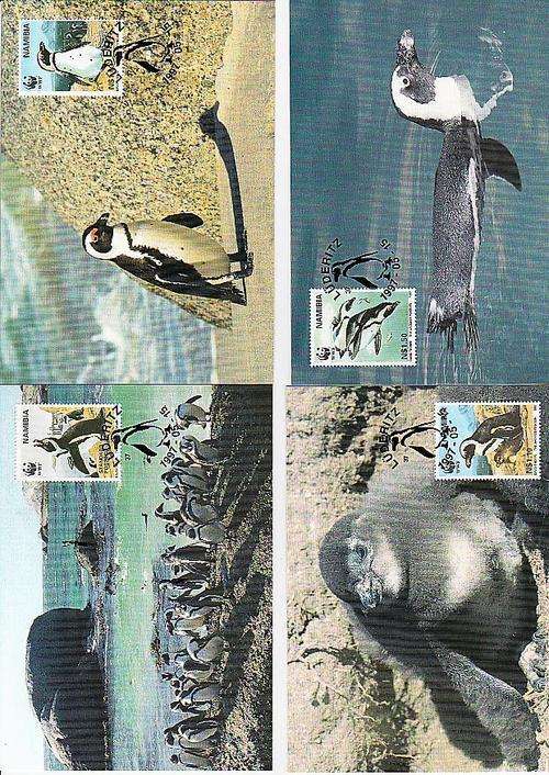 WORLD WILD LIFE SET OF 4 POSTCARDS ON THE JACKASS