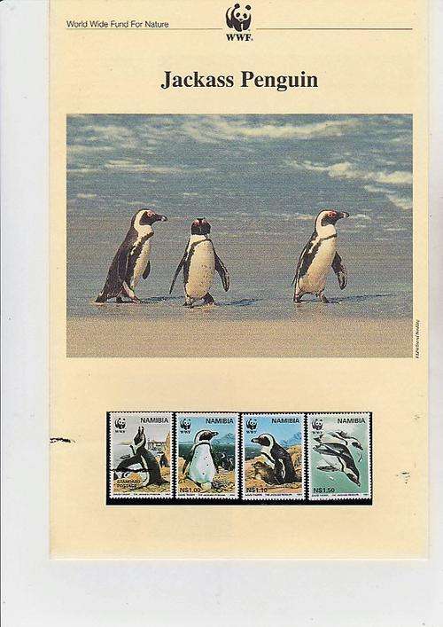 FIVE PAGE PRESENTATION PACK OF THE JACKASS PENGUIN