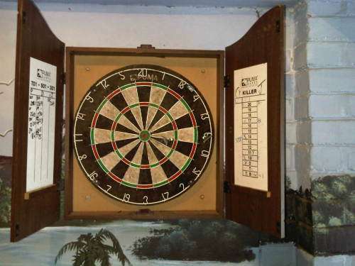 DARTBOARD AND CASE-SECONDHAND BUT IN VERY GOOD CONDITION