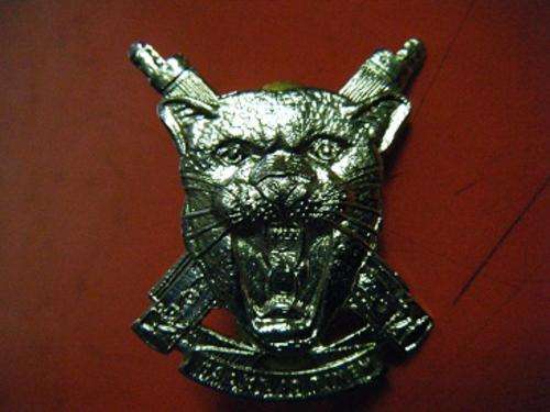 BADGE-SOUTH WEST AFRICA-REGIMENT ERONGO CHROMED CAP BADGE-AS PER PHOTO