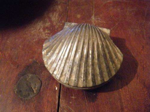 shell-see pics