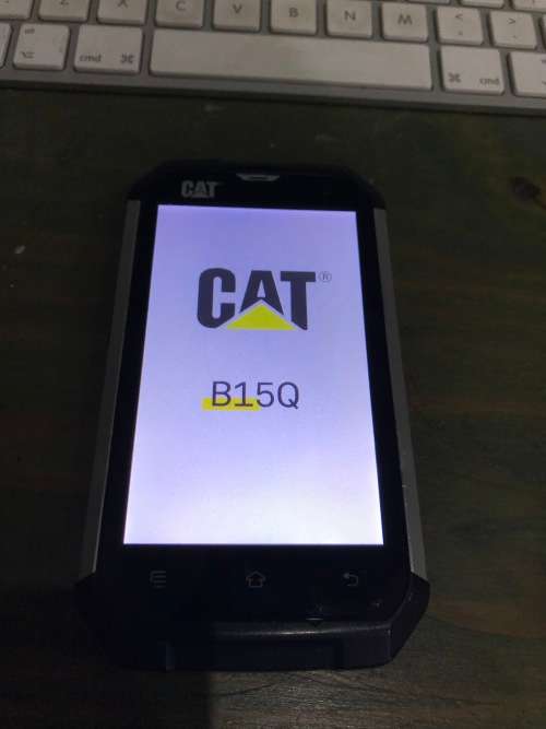 Cat B15Q  !!!!!!! BARGAIN !!! Please read !!!!!