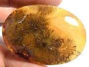 Dendritic agate