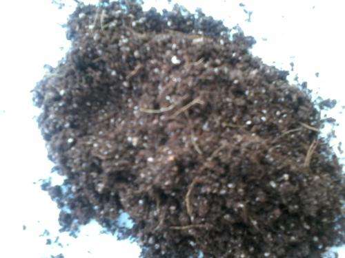Professional Germination Mix 1kg