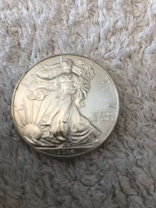 1 oz Bullion Silver USA Dollar (Low Start Price)