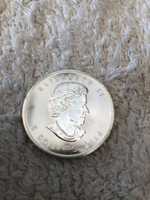 1 oz Canadian silver dollar (Low Start Price)