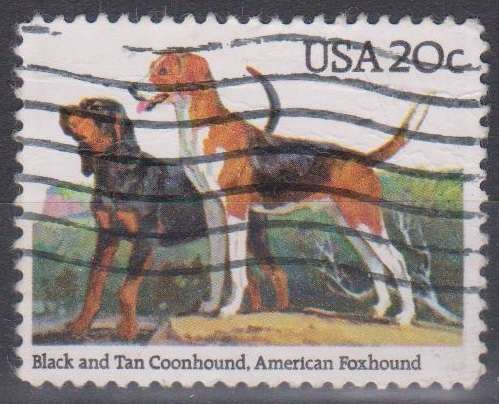 THEMATIC DOGS USA