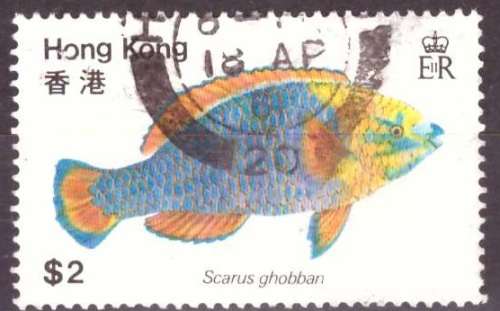HONG KONG  1981 Fish UNH