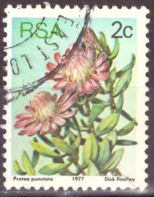 RSA 1977 3RD DEFINITIVE SERIES 2c USED