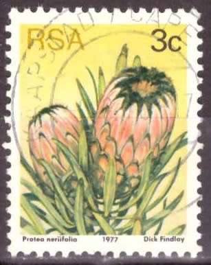 RSA 1977 3RD DEFINITIVE SERIES 3c USED