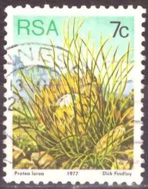 RSA 1977 3RD DEFINITIVE SERIES 7c USED