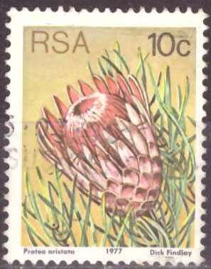 RSA 1977 3RD DEFINITIVE SERIES 10c USED