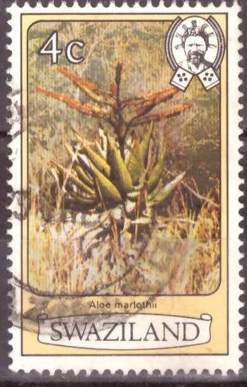 SWAZILAND  1980 Flowers USED