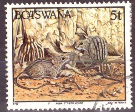 BOTSWANA  1992 Animals UNH