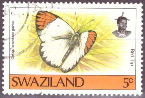 SWAZILAND  1992 Butterflies UNH CV R16