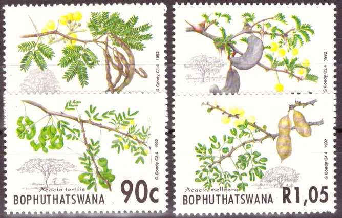 BOP  1992 Acacia Trees UMM SET