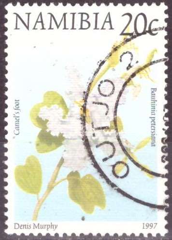 NAMIBIA  1997 Flora and Fauna UNH